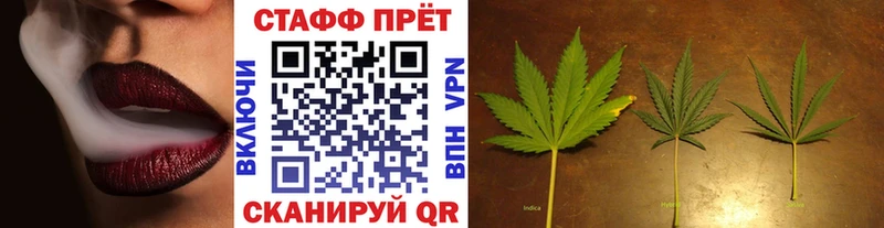 Где найти наркотики Медвежьегорск АМФ  Бошки Шишки  Меф мяу мяу  Гашиш  Кокаин 