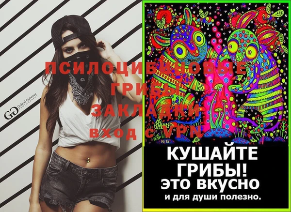сатива Касимов