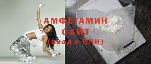 индика Карпинск