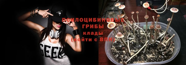 индика Карпинск