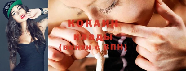гашик Карталы
