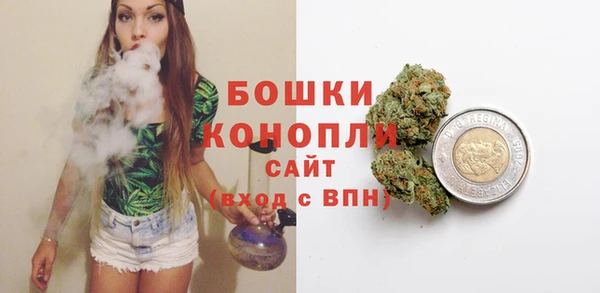 индика Карпинск