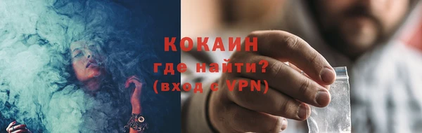 индика Карпинск