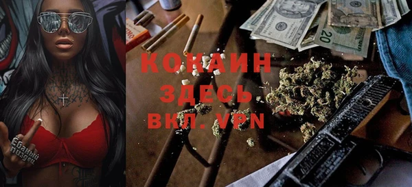гашик Карталы