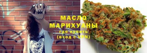 индика Карпинск