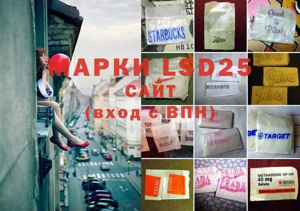 гашик Карталы