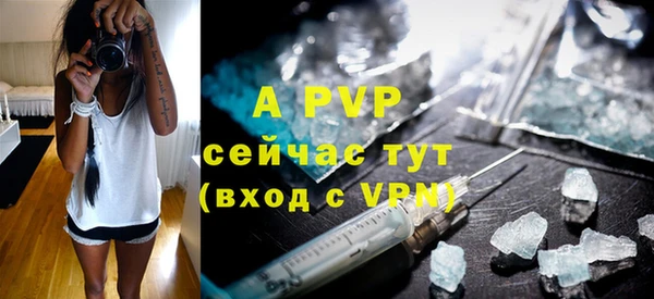 индика Карпинск