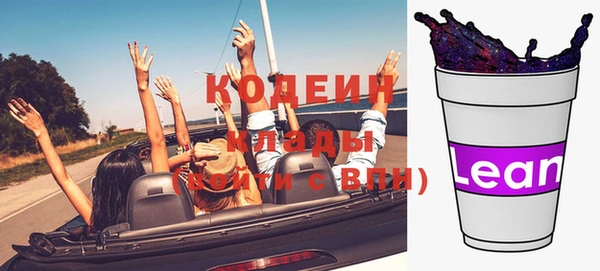 индика Карпинск